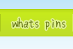 what's pins